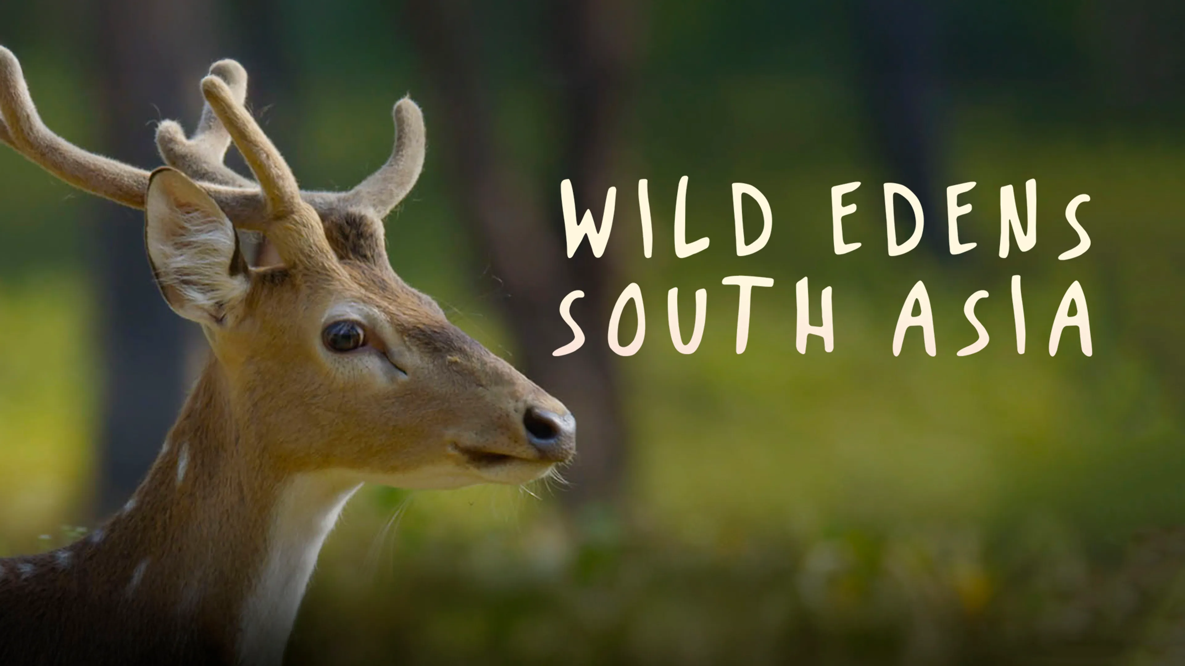 Wild Edens: South Asia poster